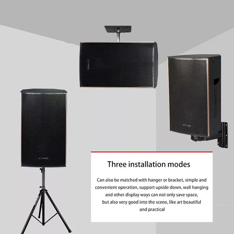 Custom Audio 12 inch 400W Karaoke Stereo Professional Speakers