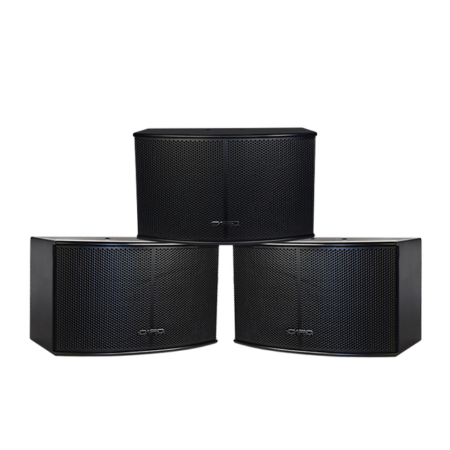 Audio Equipment 3 Way 180W Stereo Professional 10 inch Speakers