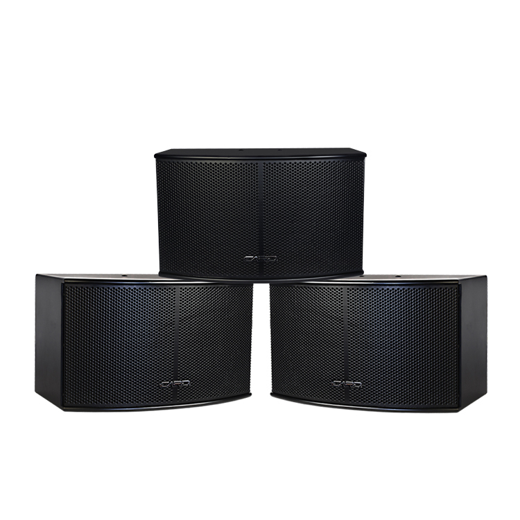 Audio Equipment 3 Way 180W Stereo Professional 10 inch Speakers