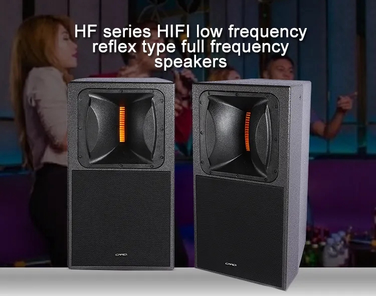 HIFI speaker