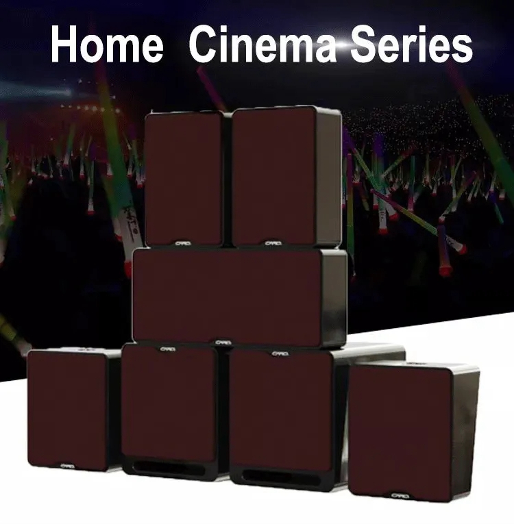 home theater professional