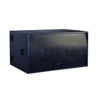 Outdoor Concert High Power 1200W Dual 18 Inch Subwoofer