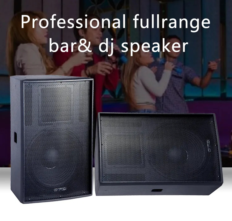 2 way full range speaker