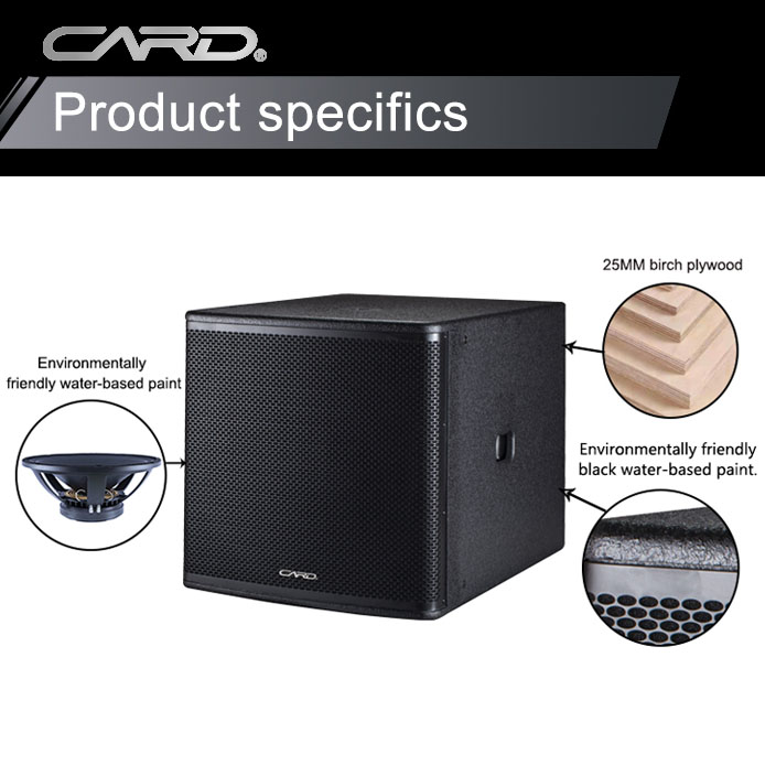 PA System Professional Concert 600W Subwoofer Speaker