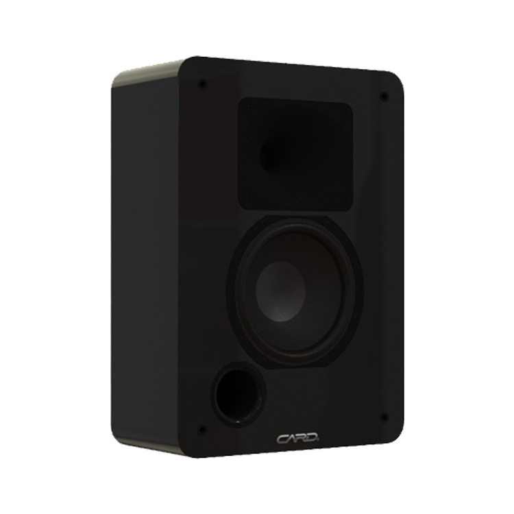 Unique design high power home 300W 2 way full range pa speaker