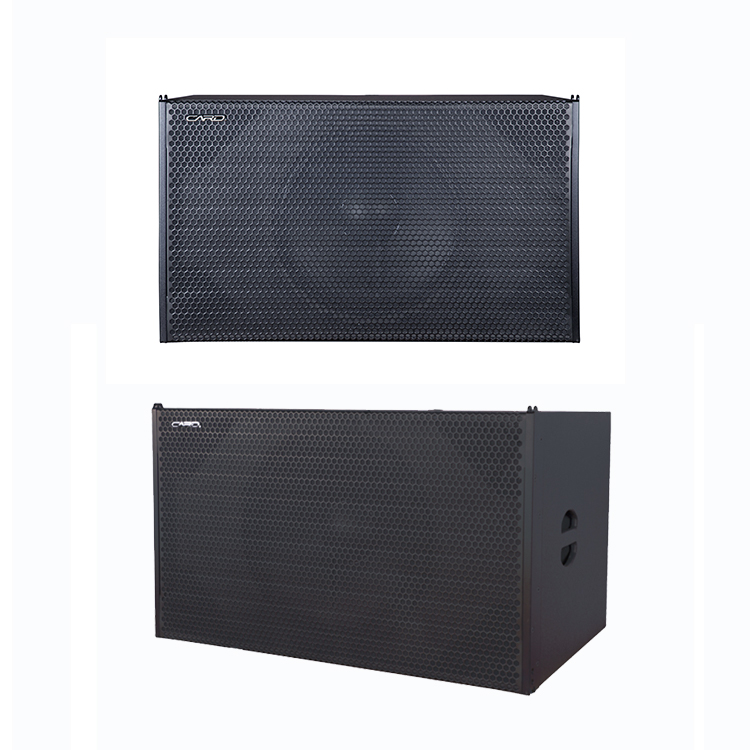 Party Universal Rechargeable Passive Subwoofer Speaker