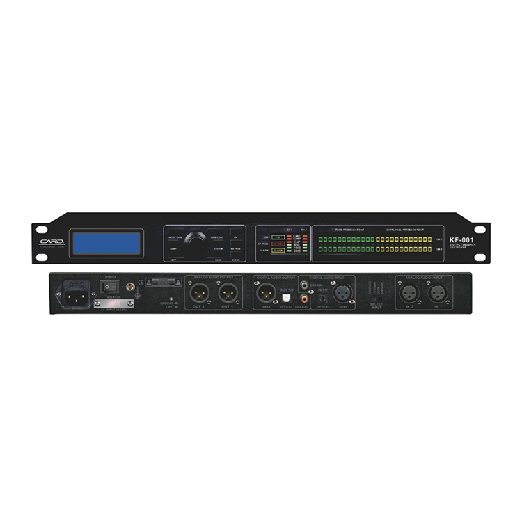 outdoor stage dj Dual channel feedback suppressor 