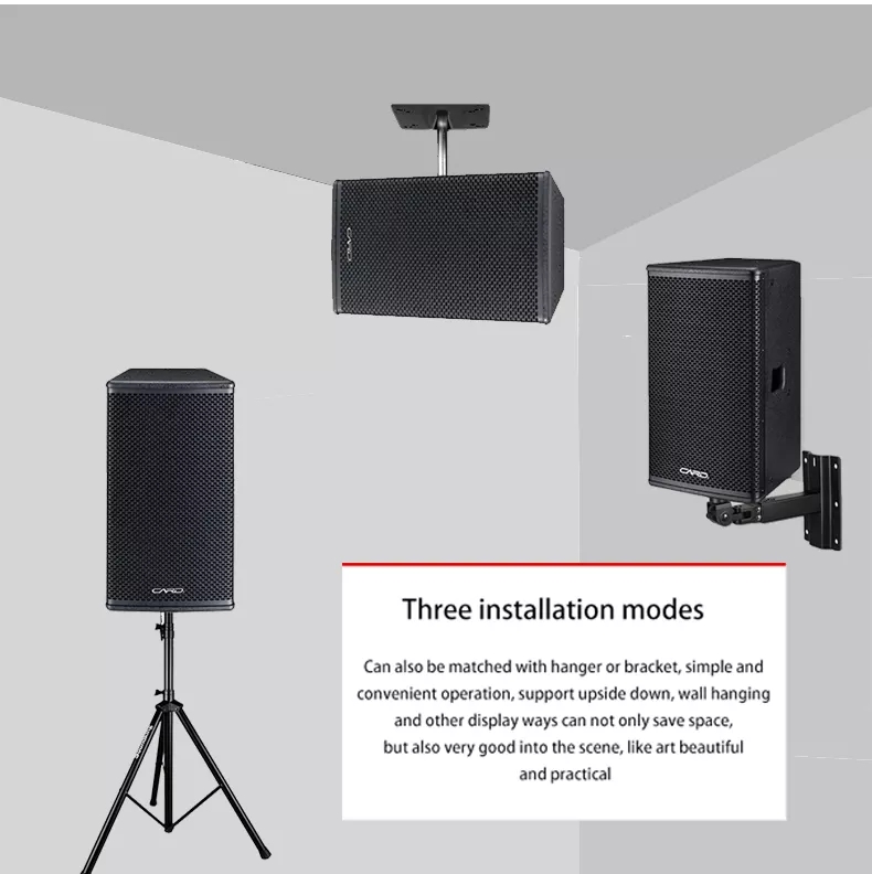 Outdoor Party 10 inch Full Range 250W Professional Speaker