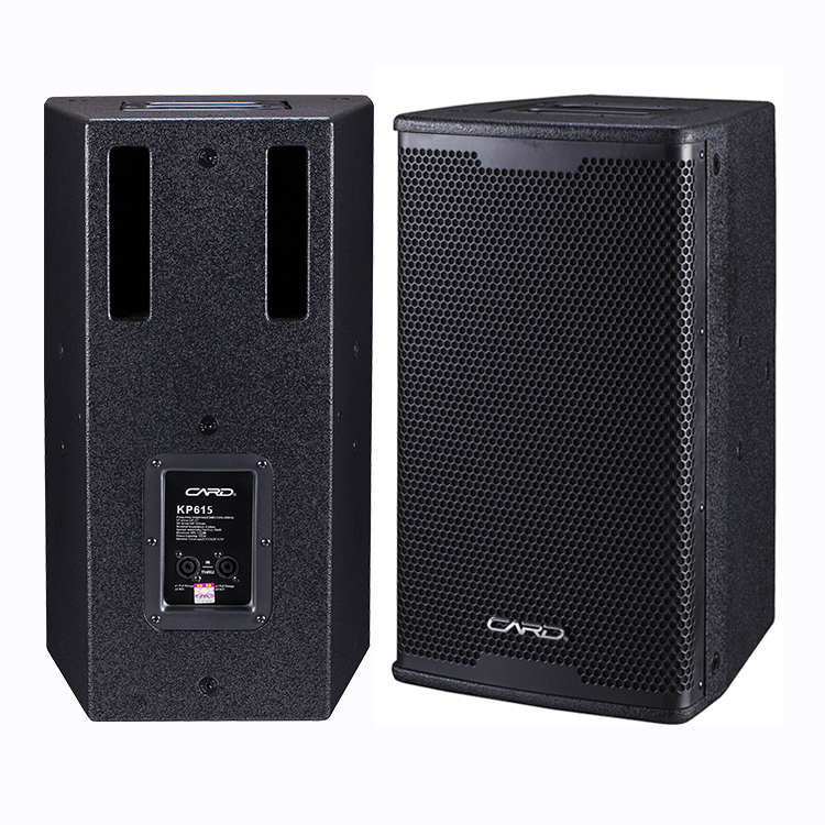 Concert Karaoke Music System Passive Neodymium Professional Speaker