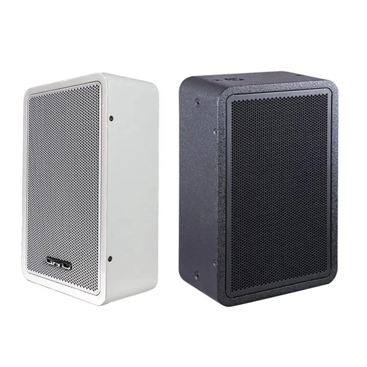 PA system speaker