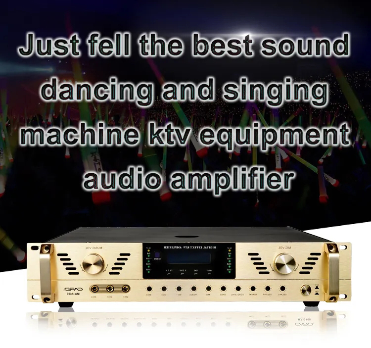 Karaoke amplifier