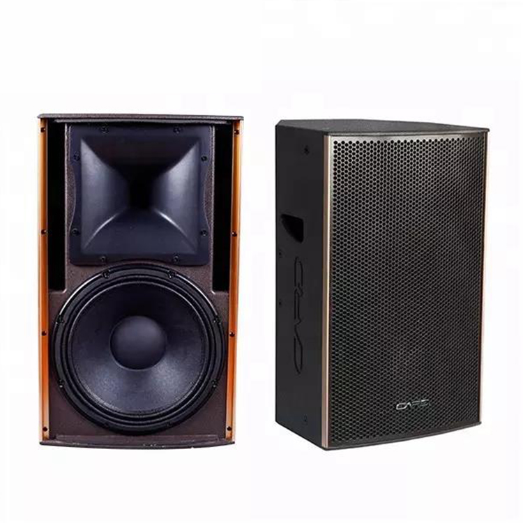 Custom Audio 12 inch 400W Karaoke Stereo Professional Speakers