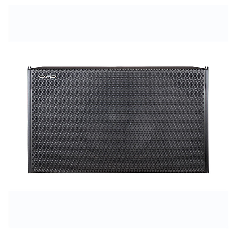 Party Universal Rechargeable Passive Subwoofer Speaker