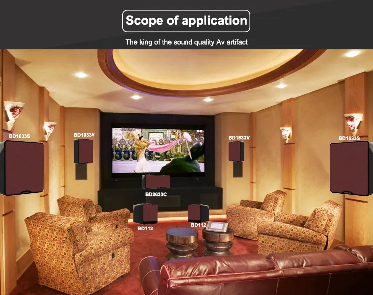 Custom home audio