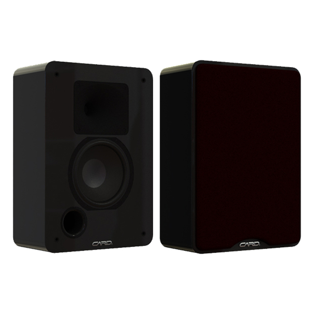 Unique design high power home 300W 2 way full range pa speaker