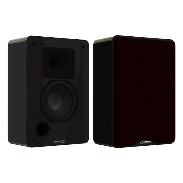 Unique design high power home 300W 2 way full range pa speaker