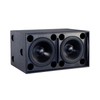 Outdoor Concert High Power 1200W Dual 18 Inch Subwoofer