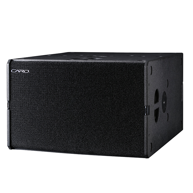 Professional Sub Bass 800W Dual 15 Inch Subwoofer