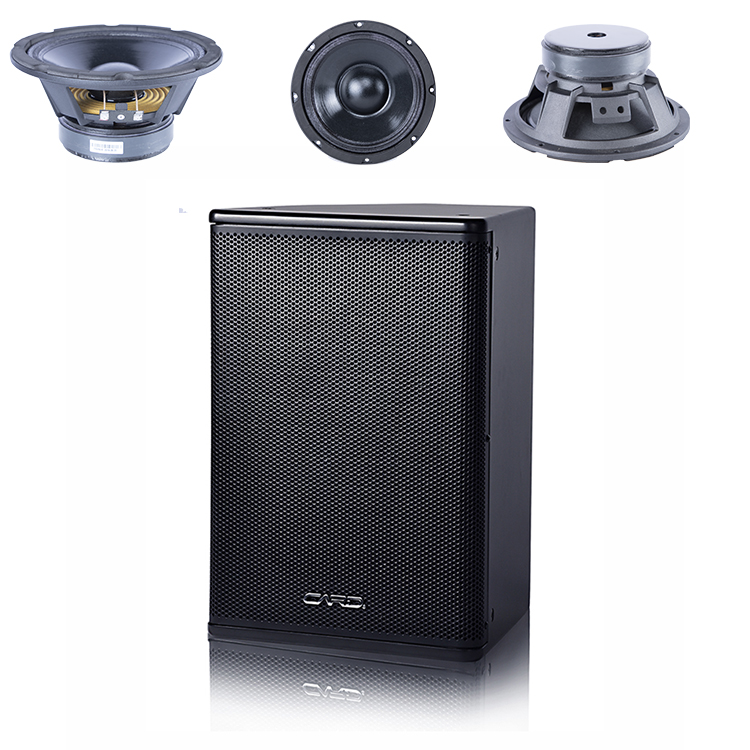 Pro Audio Party 300W 2 Way Full Range Professional Speakers