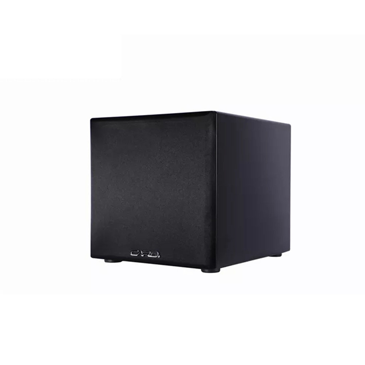 150W 10 inch loudspeaker powered speakers Active subwoofers