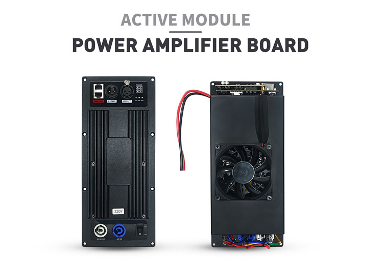 Class D Power Amplifier Module