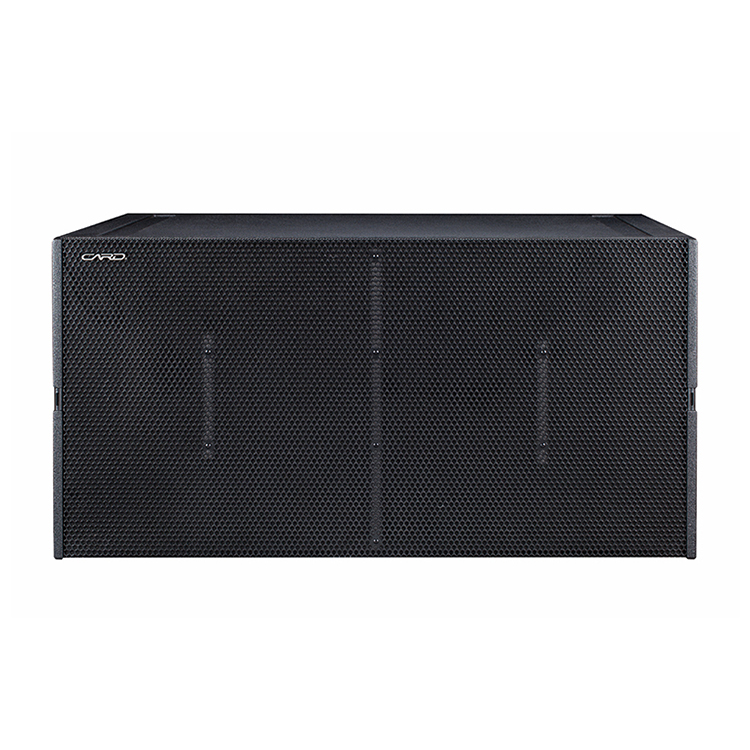 Efficient Compact Sub Bass Dual Passive Line Array