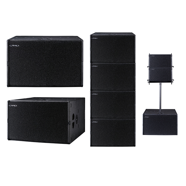 Professional Sub Bass 800W Dual 15 Inch Subwoofer