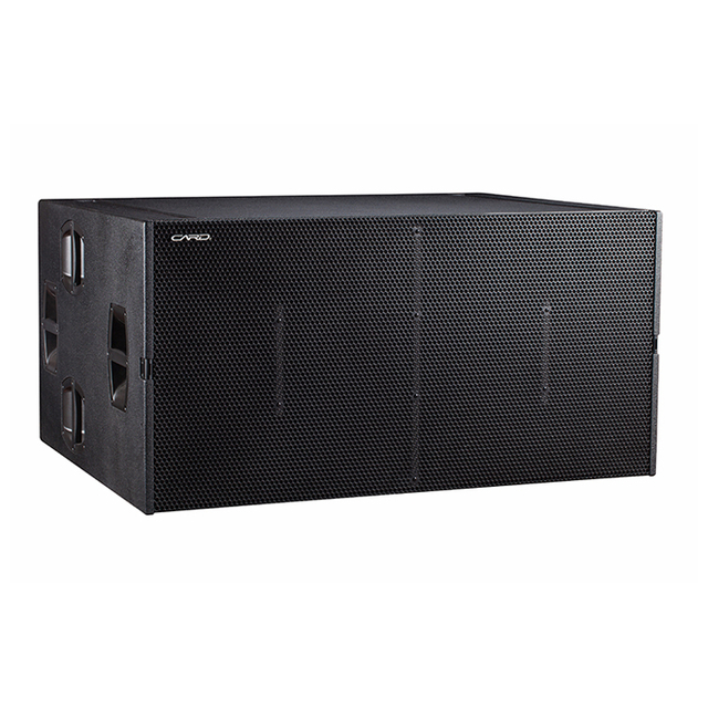 Efficient Compact Sub Bass Dual Passive Line Array