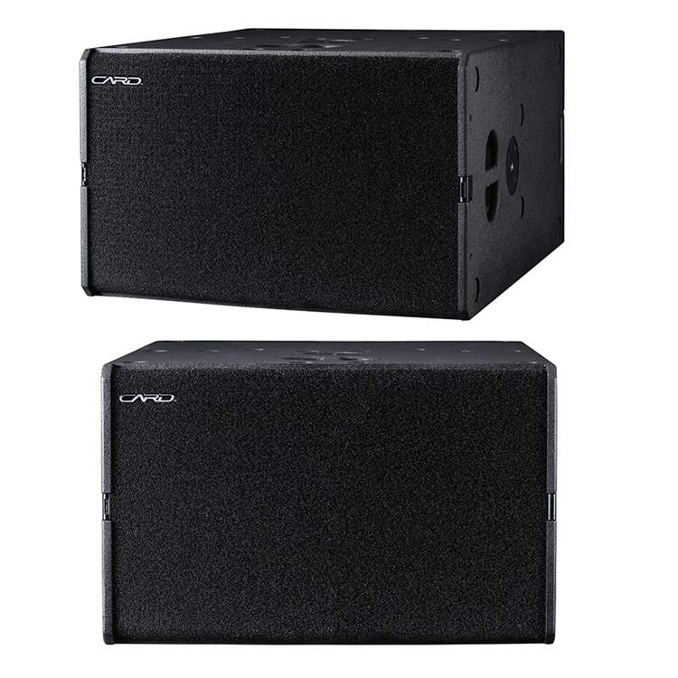 Professional Sub Bass 800W Dual 15 Inch Subwoofer