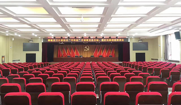 Xinjiang Emin County Government Conference Hall