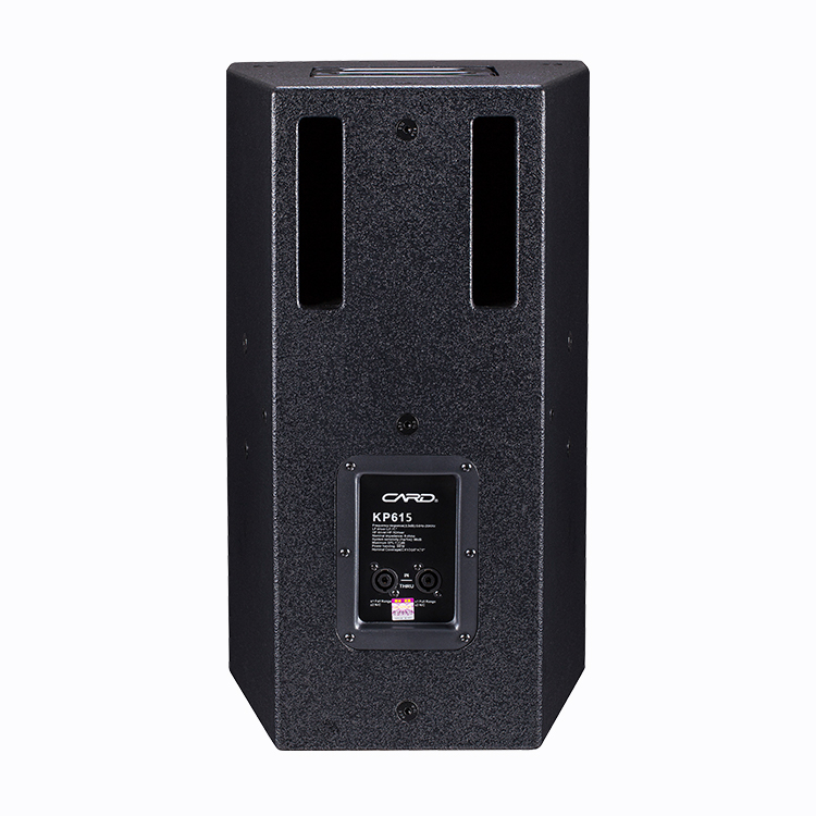 Concert Karaoke Music System Passive Neodymium Professional Speaker